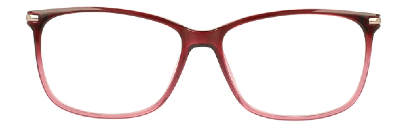 Via Spiga VSLucrezia Eyeglasses - view 4